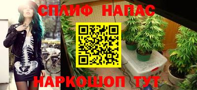 тгк Славгород