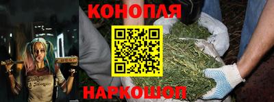 тгк Славгород