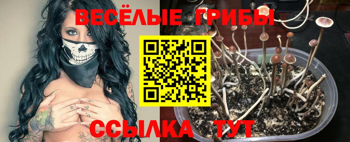 Экстази Павлово