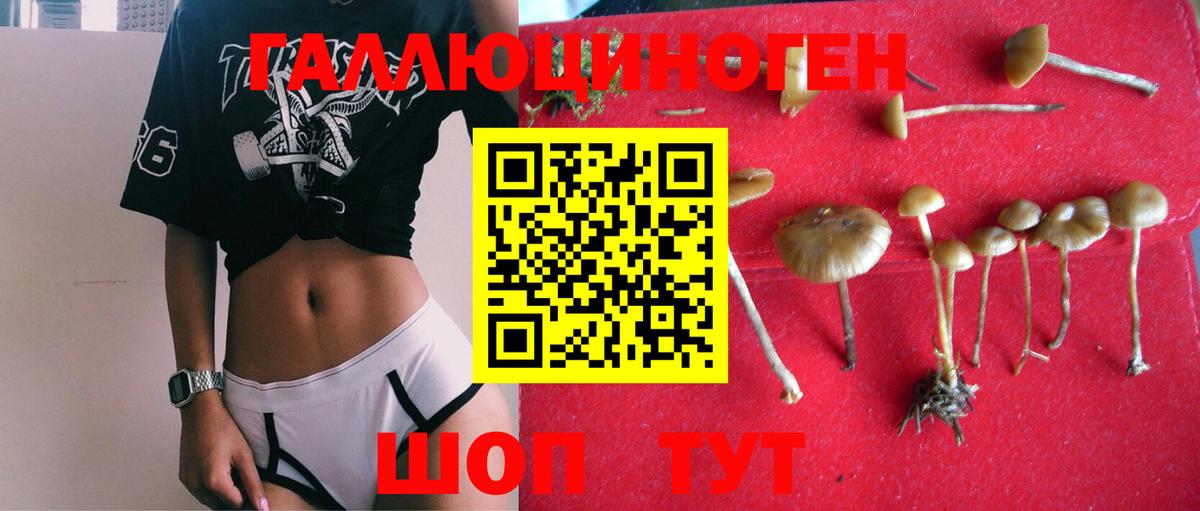 Павлово  Галлюциногенные грибы мицелий  Вход с VPN 